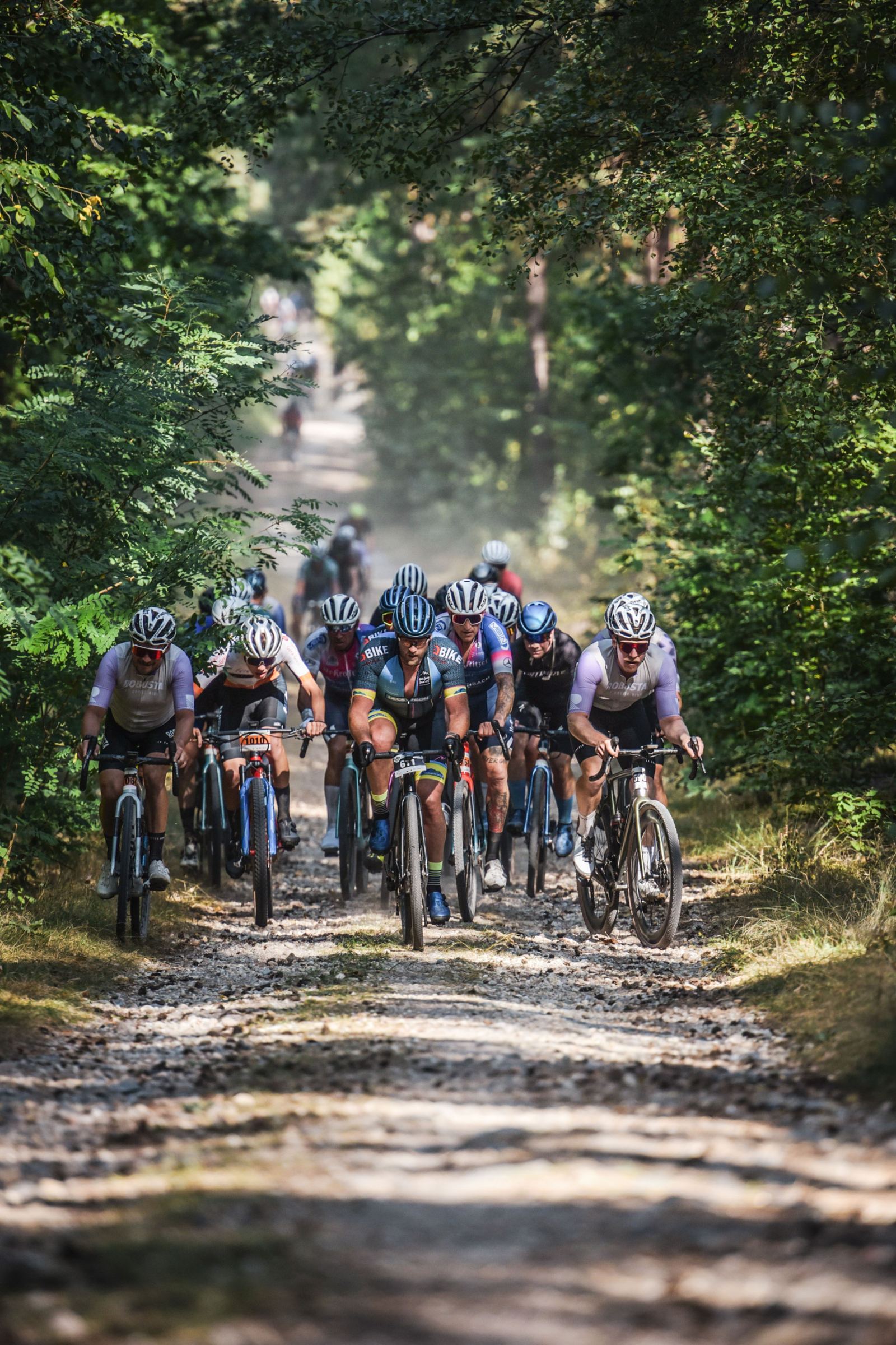HeideGravel — Peloton auf Schotterweg durch die Dahlener Heide